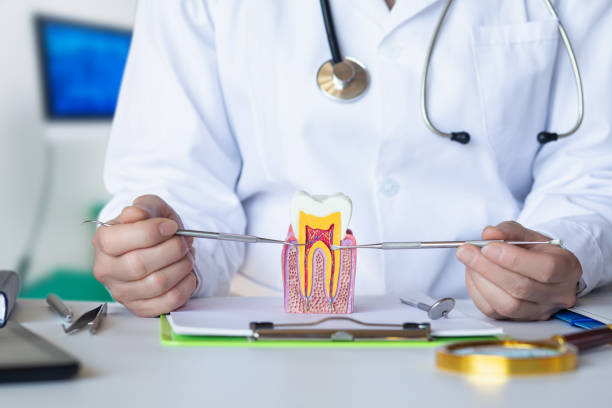  Moreauville, LA Emergency Dentist Pros